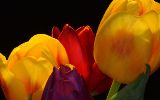 488972 (a): :2560x1600